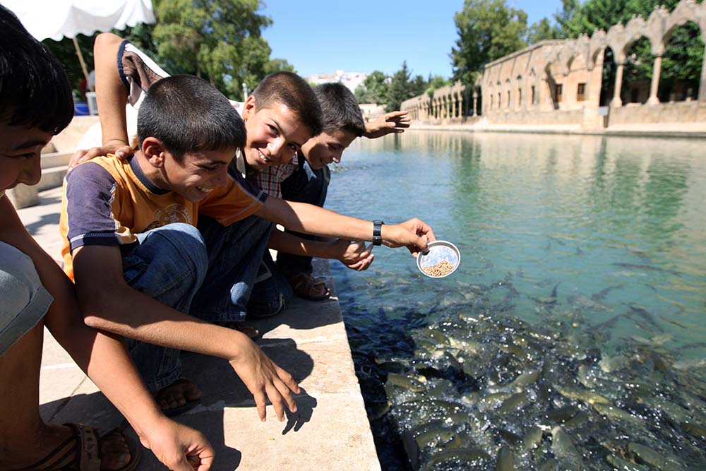 Şanlıurfa City Guide