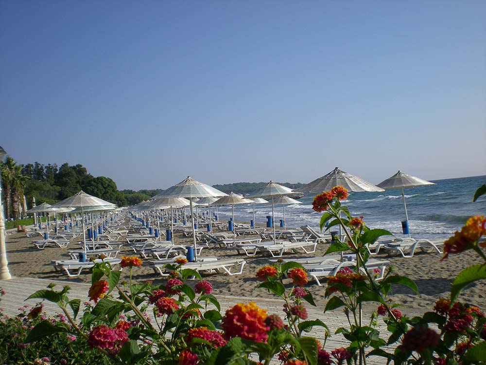 Blue Flagged Beaches