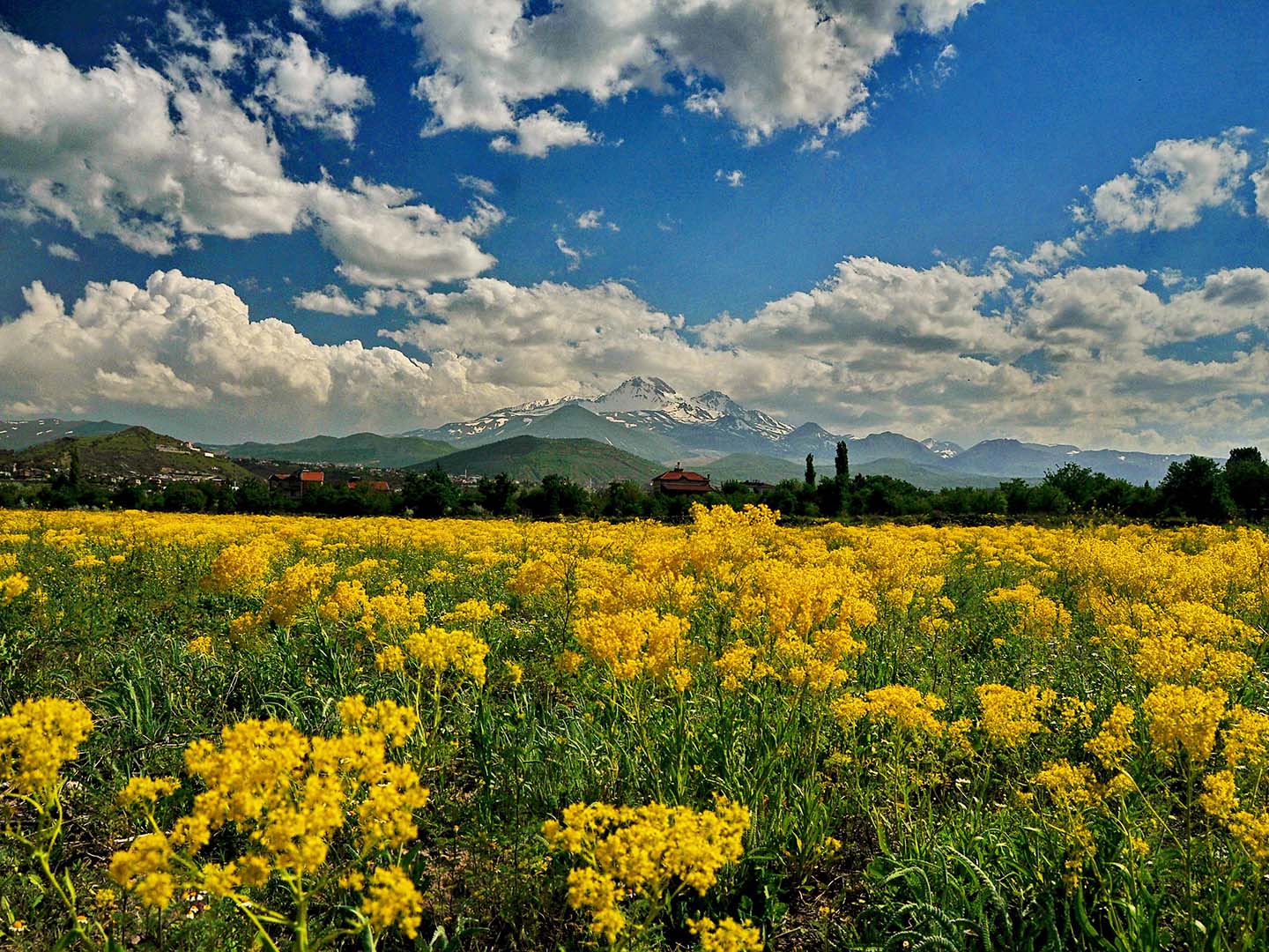 Kayseri City Guide