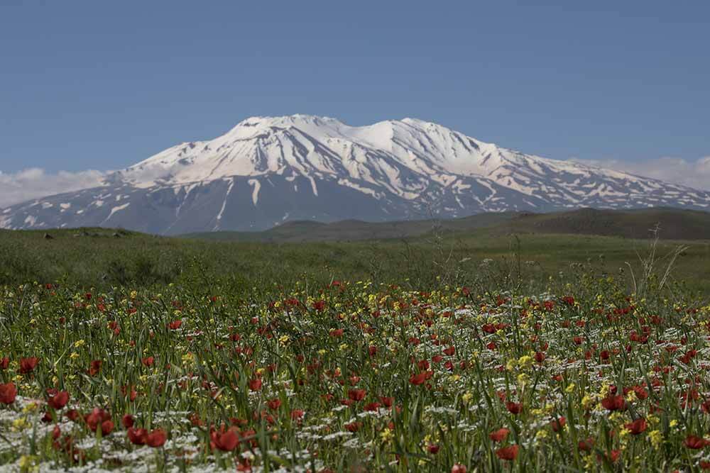 Bitlis City Guide