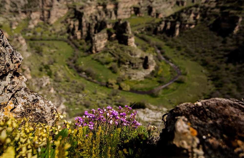 Uşak City Guide